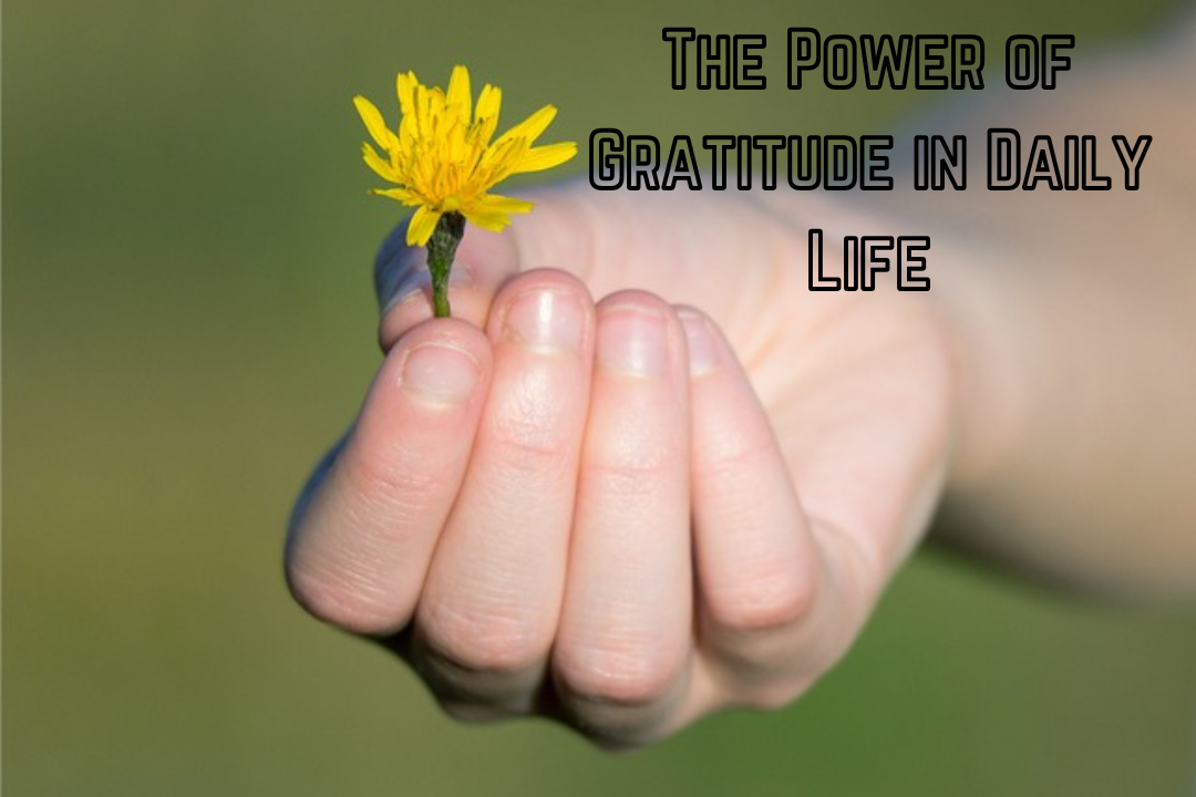 The Power of Gratitude in Daily Life: Learn 5 simple practices here