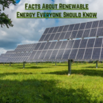 Facts About Renewable Energy Everyone Should Know: Know here 5 important renewable energy sources