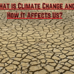 What is Climate Change and How It Affects Us?: Understanding climate change is one of the most urgent challenges in 2025 and the years to come