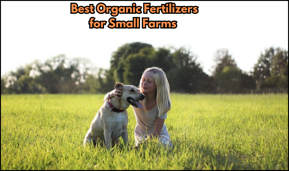 Best Organic Fertilizers for Small Farms in the USA 2025: Top-10 Organic Fertilizers for Small Farms, Know How to Choose Best Organic Fertilizer?