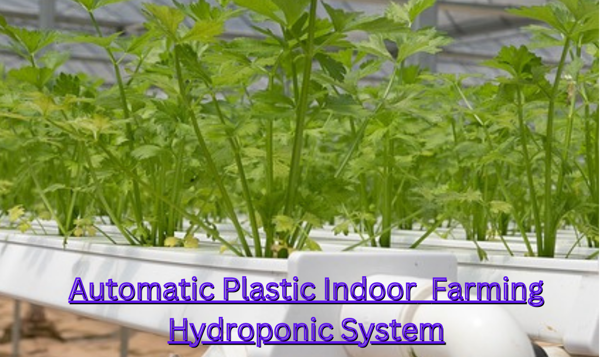 How to Grow Hydroponic Vegetables at Home USA?: Learn about 4 advanced techniques to increase hydroponic yield in 2025