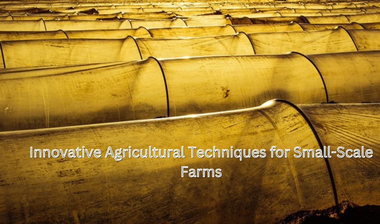 Innovative Agricultural Techniques for Small-Scale Farms USA: Learn about top 7 techniques of innovative agricultural techniques